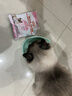 皇家幼猫奶糕 幼猫猫粮 BK34 通用粮 1-4月 2KG 实拍图