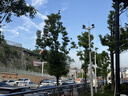 京东家政清洗 家用抽油烟机全拆洗 家电清洗上门服务清洁保养保洁 实拍图