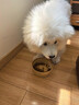 力狼（LILANG）狗粮 e族萨摩耶专用幼犬成犬中大型犬鲜肉通用全价犬粮10kg 实拍图