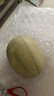 京鲜生 海南哈密瓜 西州蜜/西周蜜 1粒 单果2.5斤起 生鲜水果 实拍图