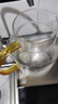 雅集 茶壶冷水壶凉水壶玻璃杯耐高温大容量家用办公柠檬果汁壶泡茶壶 实拍图