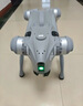 宇树（Unitree）Go2 四足机器狗 AI大模型 仿生陪伴机器人  图形编程 语音交互 Go2 Pro+遥控器【提升可玩性】 晒单实拍图