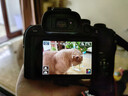 佳能（Canon）佳能R10 18-150 入门级微单相机 eos r10半画幅 Vlog拍摄 4K高清视频 学生旅行家用 拍摄必备套装  实拍图