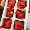 瑾贝13天金凤活珠子香辣味50g*20枚新鲜开袋即食加蘸料钢化蛋熟鸡胚蛋 实拍图