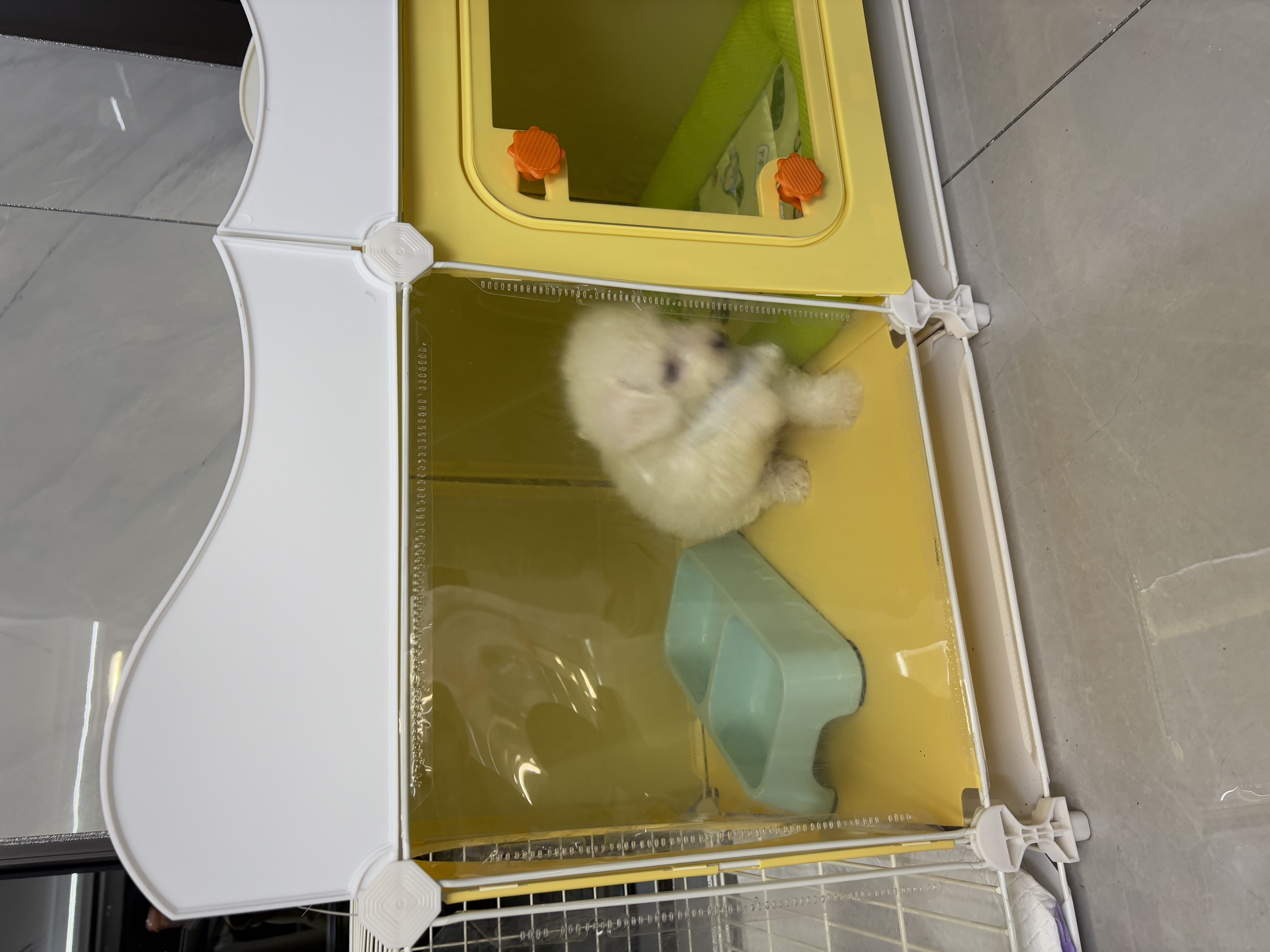 蔻丝狗笼子小型犬比熊博美一室一厅一卫带厕所分离宠物专用小别墅狗窝 大号一室一厅一卫带天窗【105*45*52】储物围栏 升级厕所款：分区带天窗狗笼+厕所托盘 实拍图