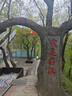 倍思（BASEUS）无线鼠标 蓝牙鼠标 适用苹果Mac华为Matebook笔记本电脑平板台式机 办公静音轻量化人体工学鼠标 实拍图