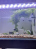 LED全光鱼缸灯同款水族箱鱼缸照明灯架水草灯增艳发色灯神灯节能 7瓦蓝白光28cm（适合30-40cm鱼缸） 四排灯珠 实拍图