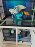 创宁鱼缸渔池循环变频潜水泵 水族箱安静抽水  水陆两用 鱼池假山过滤 升级款【超轻音25W】流量2200-3500L 实拍图