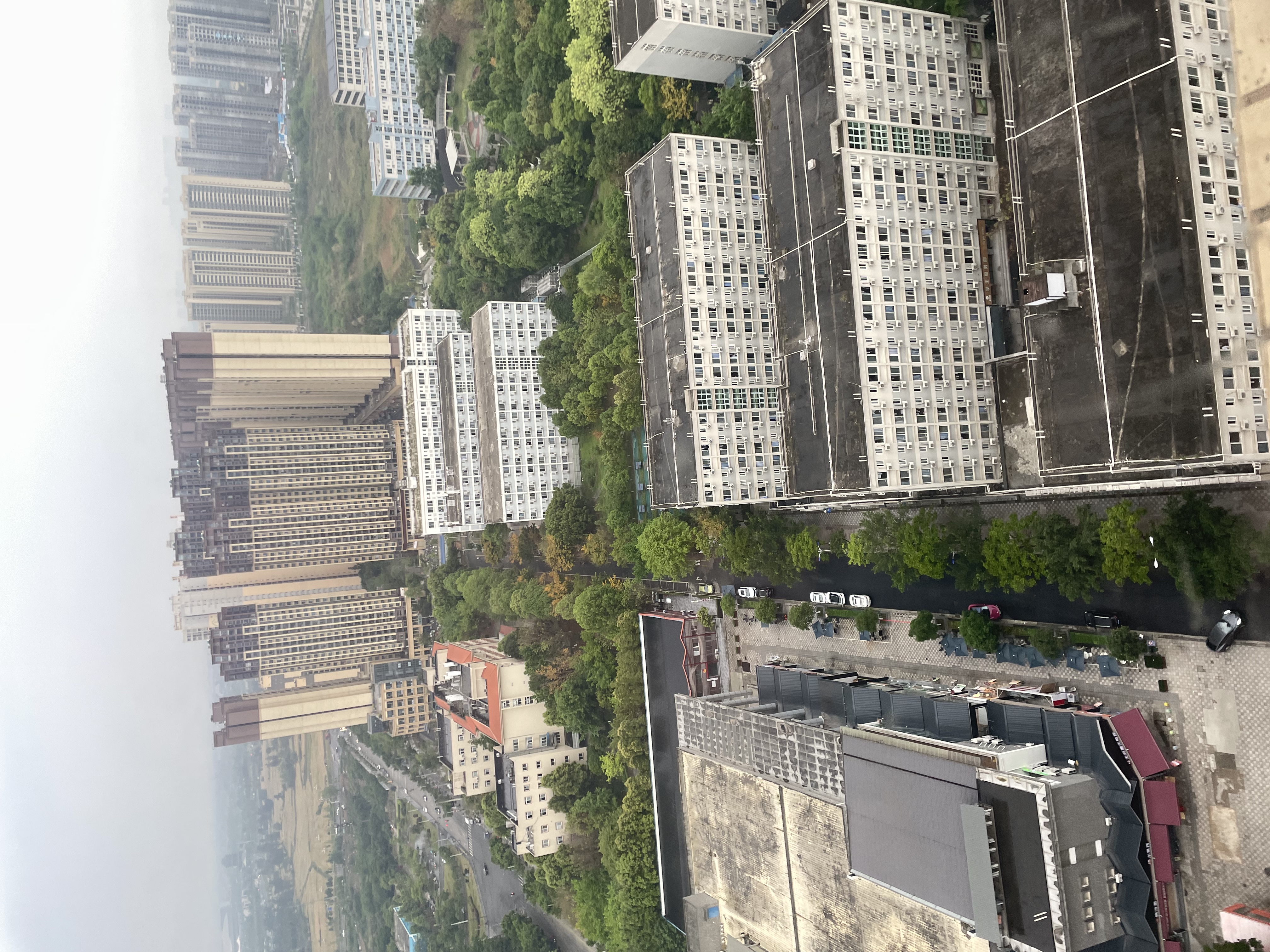 牧童宝宝学步鞋夏款男童软底透气网面卡通熊猫鞋防撞婴儿鞋女童步前鞋 熊猫蓝（镂空单网） 25 鞋内长16.5cm 实拍图