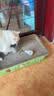 HELLOJOY猫咪不倒翁玩具羽毛逗猫棒球猫消耗体力自嗨解闷神器猫咪用品 实拍图