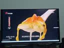 三星（SAMSUNG）27英寸 G81SF QD-OLED 4K 240Hz 动态冷却 防眩光 超薄 节能 玄龙骑士 电竞显示器 LS27FG812SBXXF 实拍图