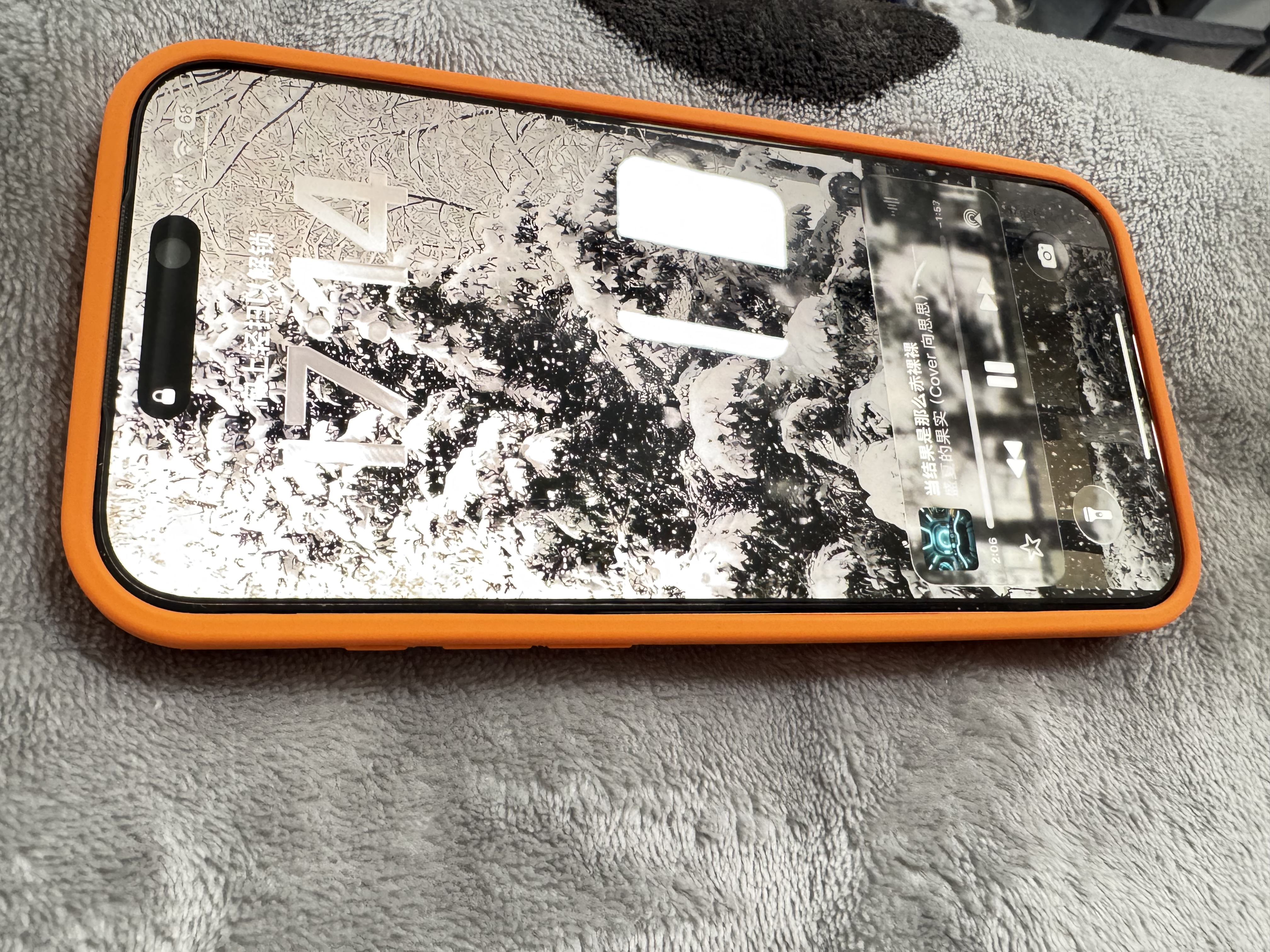 苹果17promax【国行补贴】Apple iphone17promax 17promax apple 17Promax  6.9英寸    星宇橙色 512GB 【超长质保+豪华礼包】 实拍图