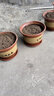 陶瓷大花盆家用落地兰花多肉盆紫砂粗砂花盆特价清仓大口径花盆 同口径25+25两个盆+托盘 实拍图