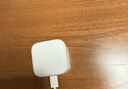 Apple/苹果 40W type-c快充充电器 苹果usb-c原装充电头 旗舰店新款苹果iphone17/16/15promax充电器 实拍图