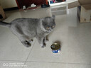 麦富迪 猫罐头 宠物猫咪零食猫湿粮罐头 吞拿鱼鲭鱼味 170g*24 实拍图