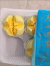 广州酒家南瓜开花馒头270g*3袋 18个 儿童早餐包子馒头速食生鲜面点 实拍图