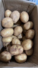 【今年新货】黄心土豆新鲜当季农家自种沙地粉糯黄心鲜土豆马铃薯 【黄皮土豆现挖新货】带箱9-10斤 实拍图