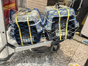 喵先生【新国航标准】宠物航空箱猫狗托运输猫咪狗狗外出箱便携手提笼子 1号【建议18斤内宠物】 实拍图