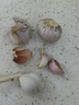 【百万单爆品】紫白皮蒜水果大蒜超市生鲜蔬菜调料即食蒜 【福利专享】3头50g单果3.5-5cm 实拍图
