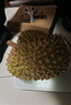 京鲜生 泰国进口金枕鲜榴莲 2-4个装 净重14斤以上 生鲜 新鲜水果 实拍图