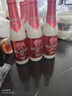 粉象（Delirium）给劲樱桃啤酒330ml*8瓶 比利时进口 烈性果啤 聚会露营 京东自营 实拍图