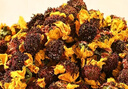 南同四海南京同仁堂昆仑雪菊天山雪菊昆仑雪菊新疆特野外生级胎菊雪菊花茶 实拍图