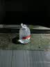 冰禹 玻璃广口瓶 加厚密封大口试剂瓶 玻璃药棉酒精瓶 BY-79C 透明500ml 实拍图