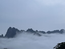 洁丽雅（Grace）纯棉抗菌防螨不易掉毛高档大浴巾男女士加大加厚酒店全棉浴巾运动 实拍图