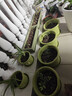 史丹利小铲子园艺工具种植养花挖土栽花种菜松土花铲沙滩挖沙赶海 1把装 实拍图