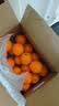 京鲜生 秭归伦晚脐橙/甜橙 钻石果 净重8斤 单果230g起 橙子水果礼盒 实拍图