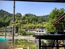 普陀山马年宝宝平安手绳婴儿儿童手链桃核红绳桃木手串 实拍图