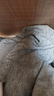 骆驼（CAMEL）长袖圆领套头卫衣男宽松休闲运动打底衫 J13CAYL6063 中花灰 XXXL 实拍图
