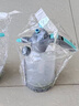 花沃里2L喷壶(喷杆+自带量杯)浇花水壶高压喷壶气压式消毒喷雾器喷水壶 实拍图