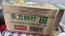 农夫山泉东方树叶茉莉花茶500ml*15瓶无糖茶饮料0糖0脂0卡整箱装 实拍图