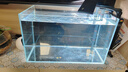 BESSN贝森金晶五线汽车级超白缸玻璃鱼缸客厅裸缸家用水草溪流缸 50*27*30cm6mm厚金晶五线超白送货上楼 实拍图