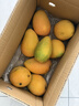 京鲜生 海南大台农芒果 3斤装 单果150g起 新鲜水果 实拍图
