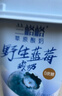 兰格格草原酸奶 野生蓝莓300g*2杯0蔗糖酸奶 生鲜低温 酸牛奶 实拍图