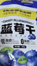 三只松鼠每日蓝莓干500g 蜜饯果干酸甜休闲零食下午茶孕妇儿童健康零食 实拍图