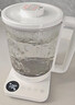 米家小米养生壶N1烧水壶恒温电热水壶煮茶壶泡茶器一体304不锈钢 小白壶家用办公室附茶漏1.5L 实拍图