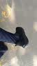 斯凯奇（Skechers）运动鞋男士软底舒适跑步鞋减震轻便休闲健步鞋通勤男鞋 实拍图