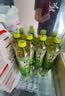 康师傅冰红茶 柠檬口味 酸梅汤 茉莉花茶 绿茶 蜜茶 茶饮料聚餐出游包邮 康师傅低糖绿茶500ml*15瓶 实拍图