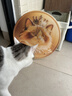 HELLOJOY猫抓板贴墙立式墙贴瓦楞纸耐抓耐磨不掉屑防猫抓垫沙发保护磨爪贴 实拍图