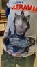 ULTRAMAN奥特曼男童t恤短袖宝宝衣服夏季薄款上衣 AHM96028深蓝 110cm 实拍图