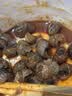 银城湘味爆汁嗦螺28g*20包香辣田螺螺丝肉下酒菜海鲜熟食即食零食 实拍图