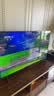 TCL雷鸟电视 55英寸雀4 144Hz高刷 2+32GB 自定义遥控器 电视55F270C-JN 实拍图
