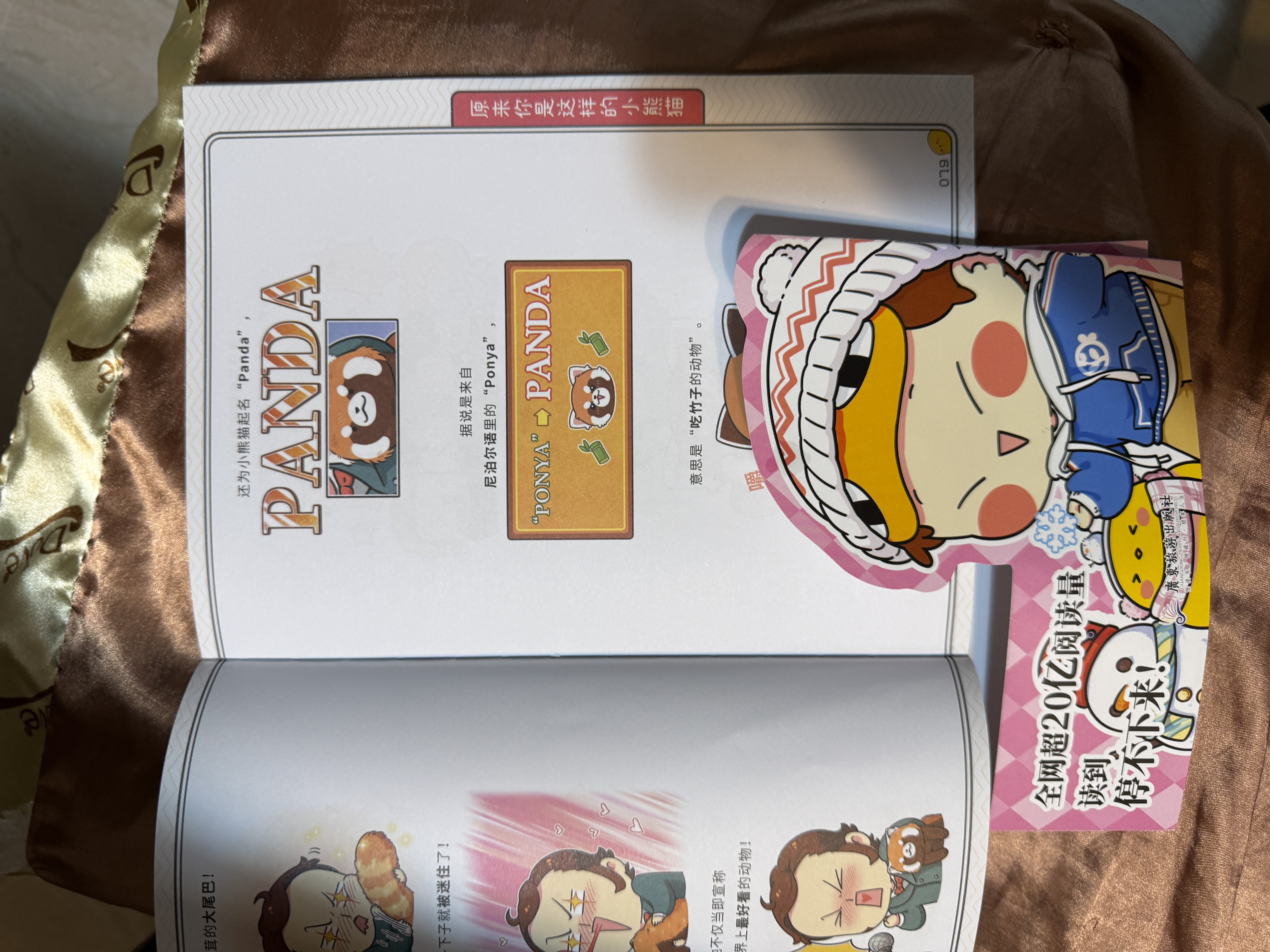肥志百科7原来你是这样的动物C篇  6-12岁儿童趣味百科漫画书小学生课外书少儿百科知识漫画正版   如果历史是一群喵姐妹篇作者力作  B站百万UP主肥志团队爆笑创作 实拍图