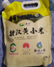 赤川黄小米5斤（内蒙古赤峰小米粥杂粮粥）蒸饭更软糯敖汉原产地 实拍图