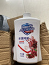 艾可熊水润呵护洗手液抑菌滋润保湿清洁儿童可用家庭装 2瓶（实惠装送1个泵头） 实拍图