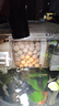 派乐特 鱼缸中空石英球过滤材料细菌屋硝化培菌球桶龟缸生化石水族箱 实拍图