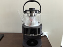 GLASSLOCK盖朗【纯钛】煮茶器萃茶机养生壶恒温一键自动上水高端一体蒸汽喷淋式泡茶烧水壶欧美特煮茶器 实拍图